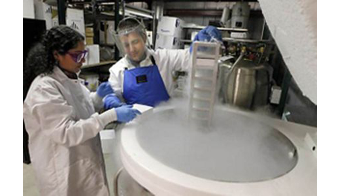Liquid nitrogen storage tank overview and operating procedures
