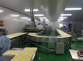Frozen fish tunnel production line
